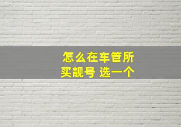 怎么在车管所买靓号 选一个